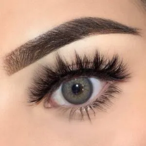 Russian Gray